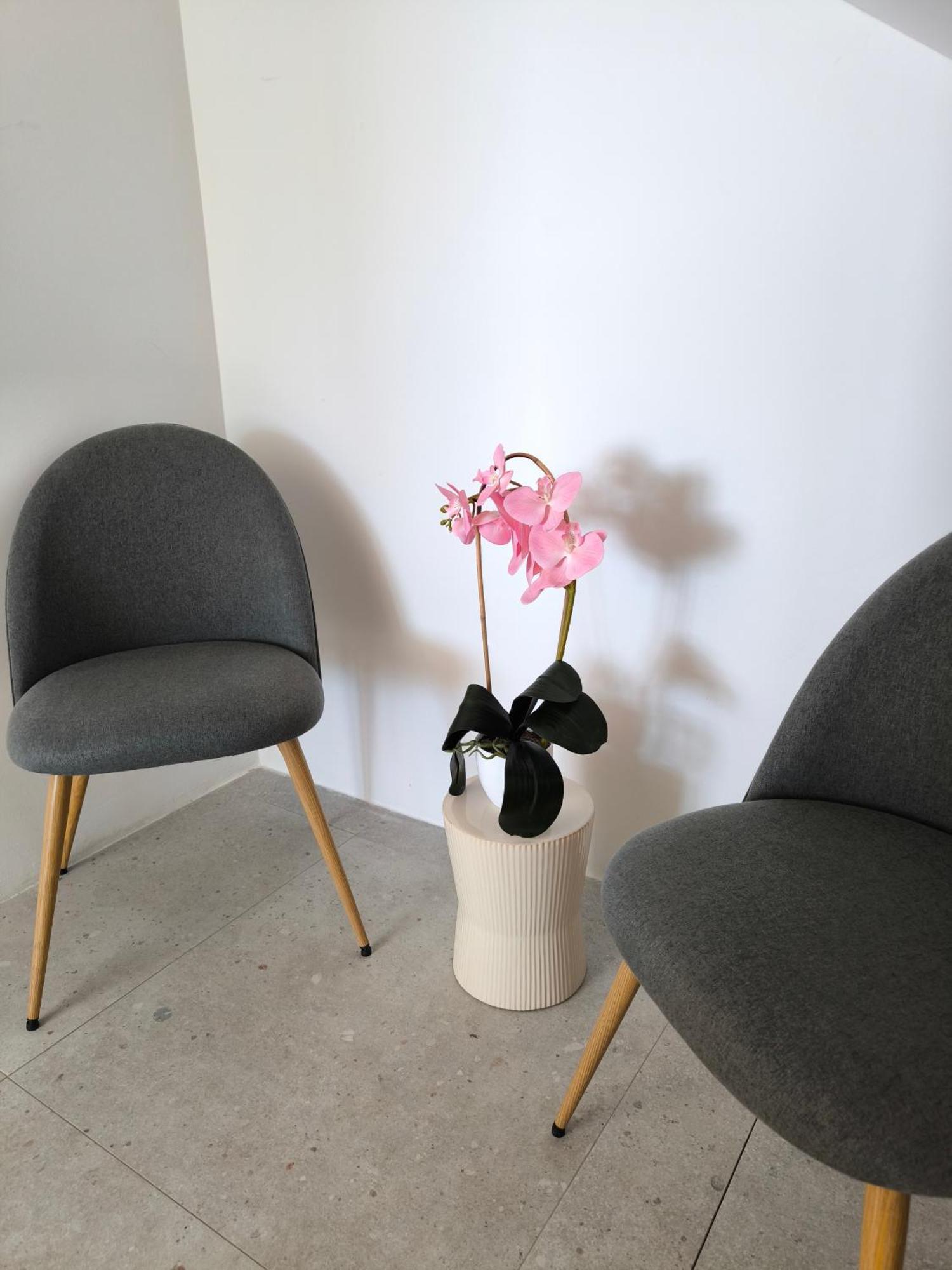 Astramaris Apartments Donji Okrug  Dış mekan fotoğraf